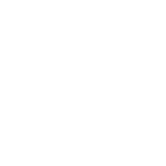 Service Providers