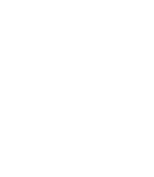 Other<br>Terms